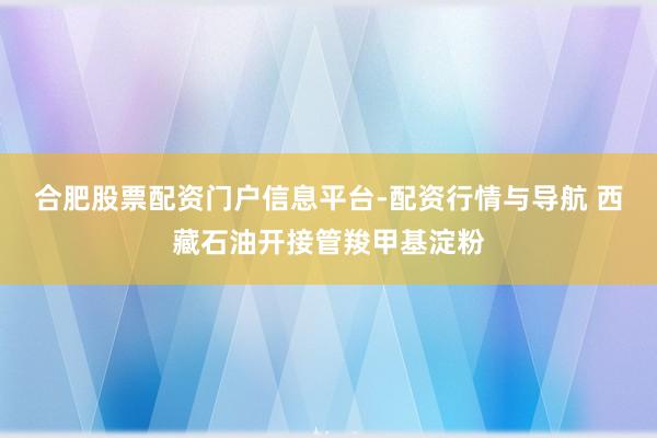 合肥股票配资门户信息平台-配资行情与导航 西藏石油开接管羧甲基淀粉