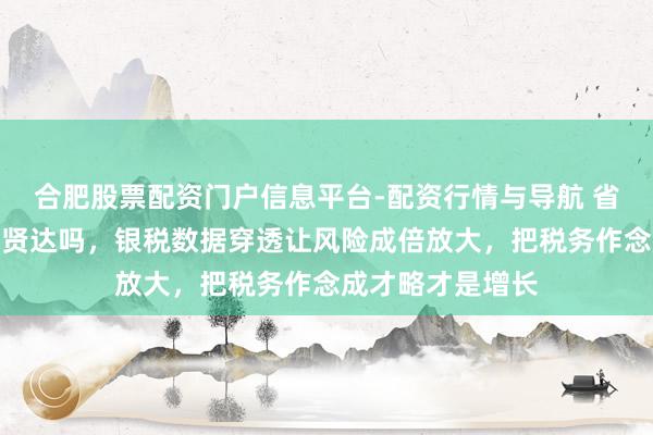 合肥股票配资门户信息平台-配资行情与导航 省税靠私户竟然更贤达吗，银税数据穿透让风险成倍放大，把税务作念成才略才是增长