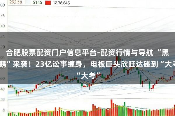 合肥股票配资门户信息平台-配资行情与导航 “黑天鹅”来袭！23亿讼事缠身，电板巨头欣旺达碰到“大考”
