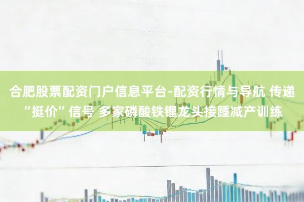 合肥股票配资门户信息平台-配资行情与导航 传递“挺价”信号 多家磷酸铁锂龙头接踵减产训练