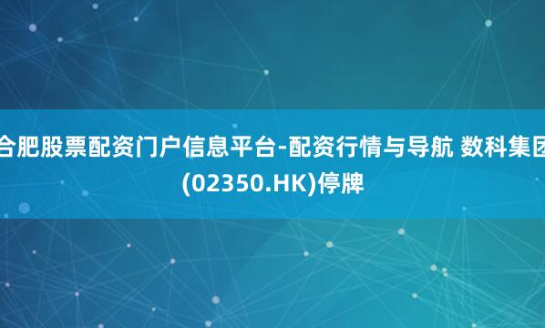 合肥股票配资门户信息平台-配资行情与导航 数科集团(02350.HK)停牌