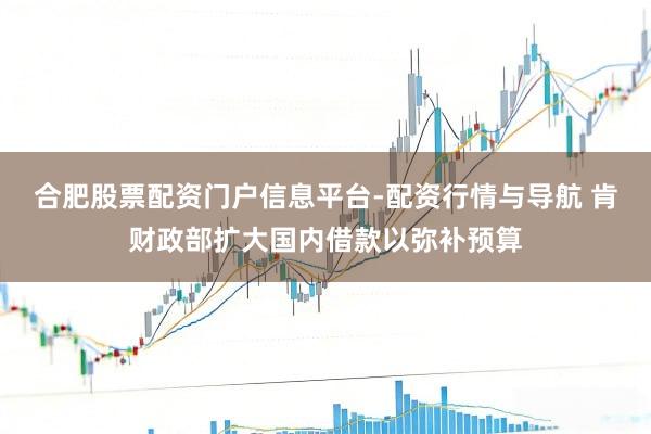 合肥股票配资门户信息平台-配资行情与导航 肯财政部扩大国内借款以弥补预算