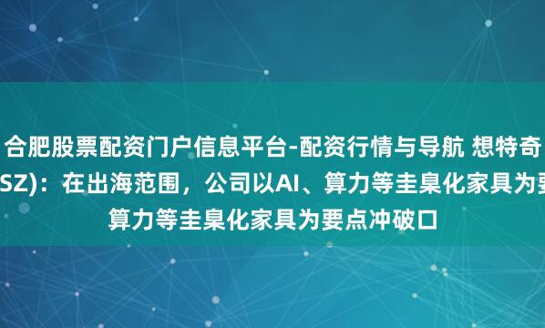合肥股票配资门户信息平台-配资行情与导航 想特奇(300608.SZ)：在出海范围，公司以AI、算力等圭臬化家具为要点冲破口