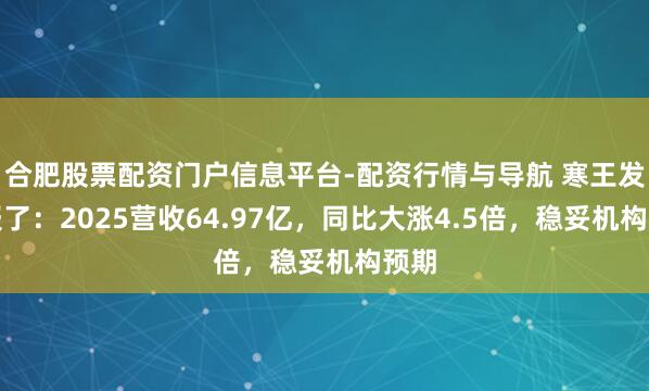 合肥股票配资门户信息平台-配资行情与导航 寒王发家报了：2025营收64.97亿，同比大涨4.5倍，稳妥机构预期