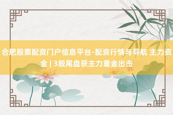 合肥股票配资门户信息平台-配资行情与导航 主力资金 | 3股尾盘获主力重金出击