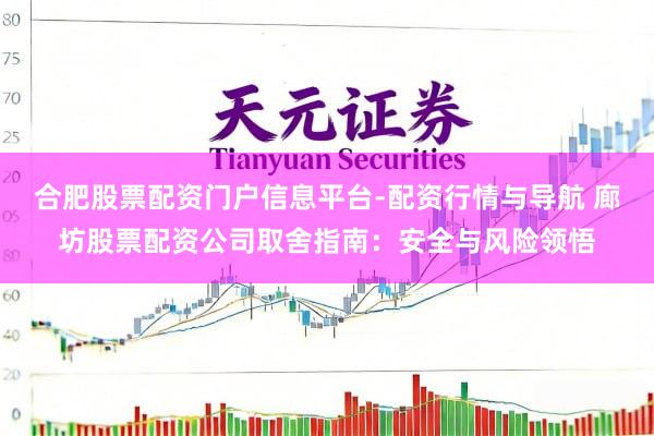 合肥股票配资门户信息平台-配资行情与导航 廊坊股票配资公司取舍指南：安全与风险领悟