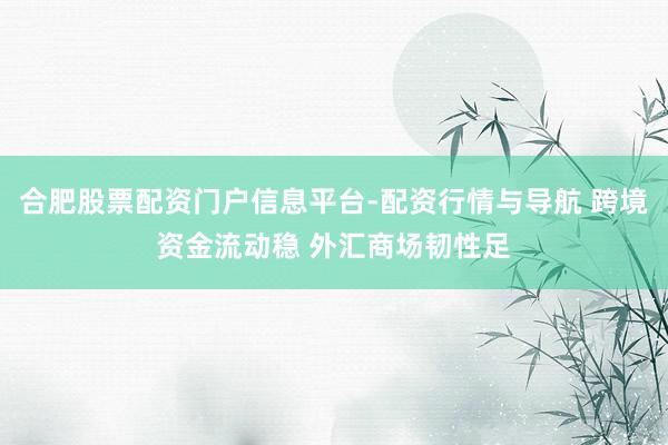 合肥股票配资门户信息平台-配资行情与导航 跨境资金流动稳 外汇商场韧性足